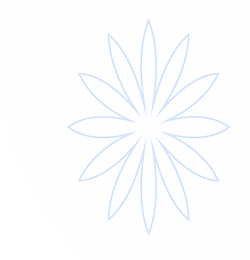 about blank官方入口